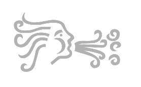 Logo Eolo